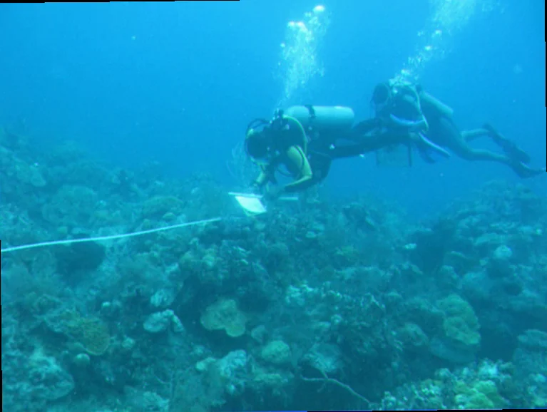 Coral ecology research au