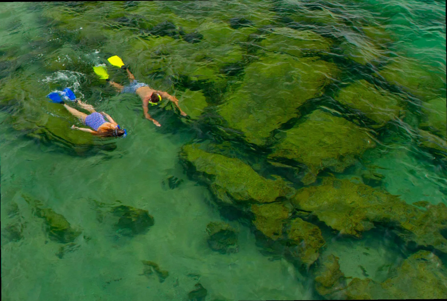 Diving conditions port noarlunga reef south australia