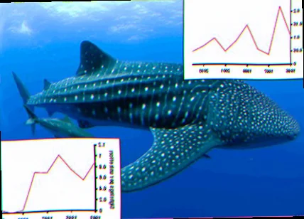 Whale shark population genetics australia